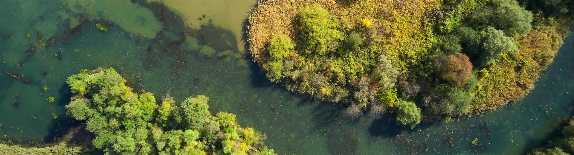 Črneški zatok - Tomo Jeseničnik