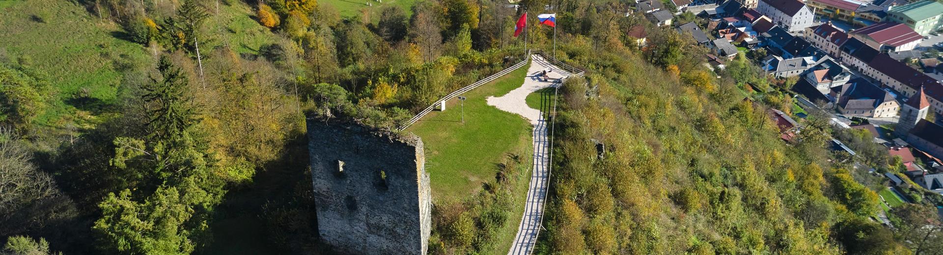Pogled na Stari grad - Tomo Jeseničnik