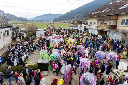 Udeleženci 19. občinskega karnevala